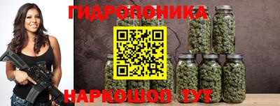 дмт Будённовск