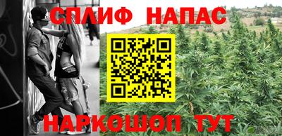 дмт Будённовск