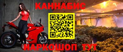 дмт Будённовск