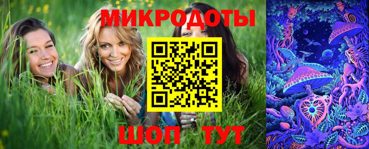 Псилоцибиновые грибы MAGIC MUSHROOMS Истра