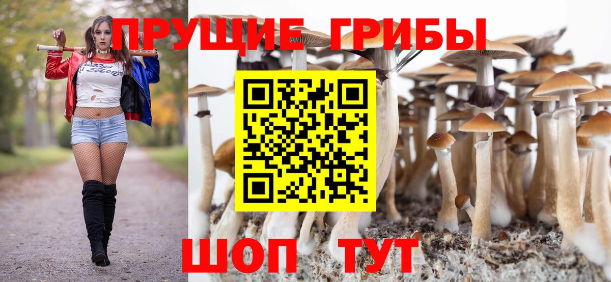 Истра  Псилоцибиновые грибы GOLDEN TEACHER  Вход с VPN 